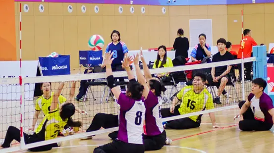 委员会审定, msn