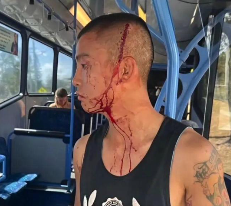 visib, gif visib, gif